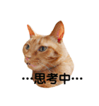 アレイさん金ちゃんすぴぴ（個別スタンプ：18）