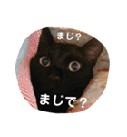 アレイさん金ちゃんすぴぴ（個別スタンプ：23）