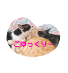 アレイさん金ちゃんすぴぴ（個別スタンプ：27）