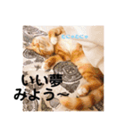 アレイさん金ちゃんすぴぴ（個別スタンプ：30）