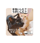 アレイさん金ちゃんすぴぴ（個別スタンプ：37）