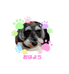 リーちゃんのあいさつ（個別スタンプ：1）