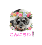 リーちゃんのあいさつ（個別スタンプ：2）