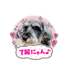 リーちゃんのあいさつ（個別スタンプ：4）
