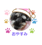 リーちゃんのあいさつ（個別スタンプ：5）