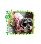 リーちゃんのあいさつ（個別スタンプ：6）