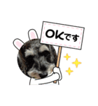 リーちゃんのあいさつ（個別スタンプ：10）