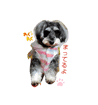 リーちゃんのあいさつ（個別スタンプ：11）