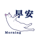 ネッコネコ台湾語（個別スタンプ：1）