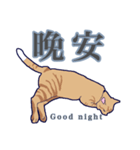 ネッコネコ台湾語（個別スタンプ：2）