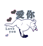 ネッコネコ台湾語（個別スタンプ：7）