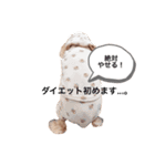 愉快なといぷー♪第2段（個別スタンプ：3）