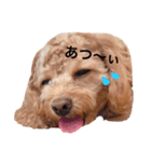 愉快なといぷー♪第2段（個別スタンプ：7）
