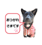 博多の女くま（個別スタンプ：5）
