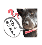 博多の女くま（個別スタンプ：32）