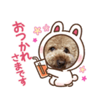 トイプードルのEMMA（個別スタンプ：8）