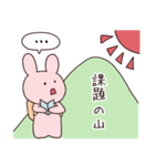 看護学生のうさちゃん（個別スタンプ：11）