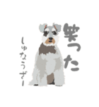 へんてこ犬図鑑（個別スタンプ：12）