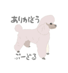 へんてこ犬図鑑（個別スタンプ：18）