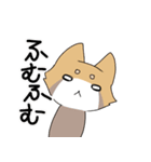 レッサーパンダ3（個別スタンプ：1）