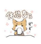 レッサーパンダ3（個別スタンプ：12）