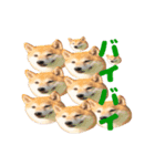 柴犬こまちのスタンプ（個別スタンプ：6）