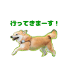 柴犬こまちのスタンプ（個別スタンプ：19）