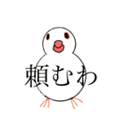 文鳥のねぎま（個別スタンプ：6）