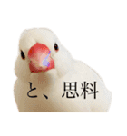 文鳥のねぎま（個別スタンプ：9）