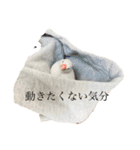 文鳥のねぎま（個別スタンプ：22）