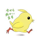 鳥のモイちゃん（個別スタンプ：33）
