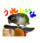 ウロコインコのタロウさん（個別スタンプ：4）