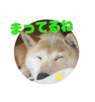さくらと一緒 4（個別スタンプ：2）