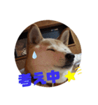 さくらと一緒 4（個別スタンプ：3）