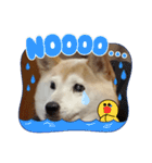 さくらと一緒 4（個別スタンプ：7）