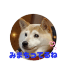 さくらと一緒 4（個別スタンプ：14）