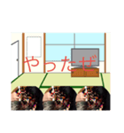 えか（てほやむかはや（個別スタンプ：5）