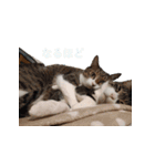 もぐもぐ＆にこぷー Part.3（個別スタンプ：4）
