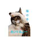 もぐもぐ＆にこぷー Part.3（個別スタンプ：5）