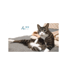 もぐもぐ＆にこぷー Part.3（個別スタンプ：8）
