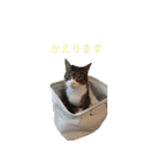 もぐもぐ＆にこぷー Part.3（個別スタンプ：10）