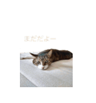 もぐもぐ＆にこぷー Part.3（個別スタンプ：21）