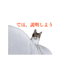 もぐもぐ＆にこぷー Part.3（個別スタンプ：25）