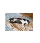もぐもぐ＆にこぷー Part.3（個別スタンプ：29）