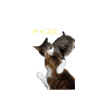 もぐもぐ＆にこぷー Part.3（個別スタンプ：30）