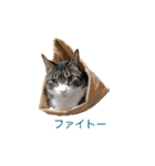 もぐもぐ＆にこぷー Part.3（個別スタンプ：32）