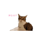 もぐもぐ＆にこぷー Part.3（個別スタンプ：33）