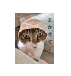 もぐもぐ＆にこぷー Part.3（個別スタンプ：34）