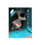 もぐもぐ＆にこぷー Part.3（個別スタンプ：35）