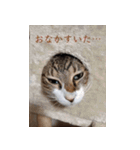 もぐもぐ＆にこぷー Part.3（個別スタンプ：37）